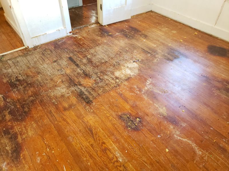 Wooden Floor Repair